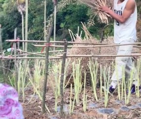 谈球吧体育app官网矣进宏干农活：当想要放弃的时候 想想为什么坚持到现在