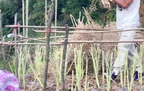 谈球吧体育app官网矣进宏干农活：当想要放弃的时候 想想为什么坚持到现在