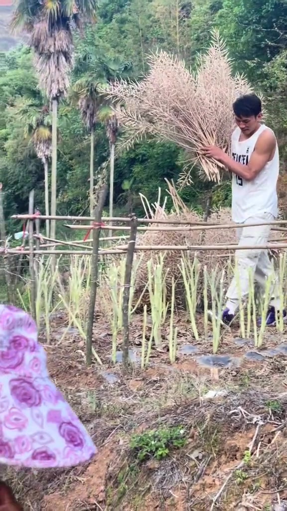 谈球吧体育app官网矣进宏干农活：当想要放弃的时候 想想为什么坚持到现在